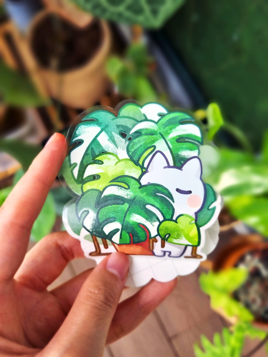 Variegated Monstera Albo π Plant Mom 3" Clear sticker π Rare plant collector kitty propagates a new rooted cutting!