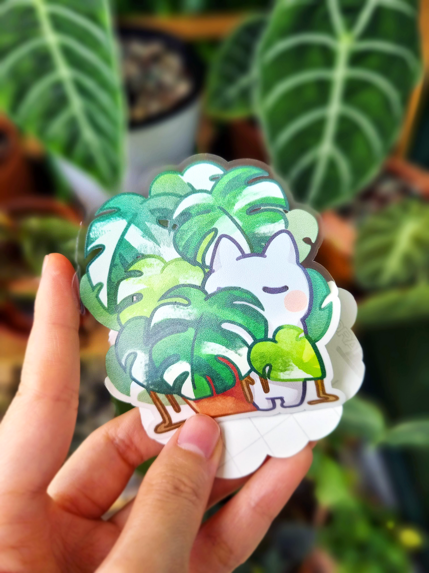 Variegated Monstera Albo 🍃  Plant Mom 3" Clear sticker  🍃 Rare plant collector kitty propagates a new rooted cutting!