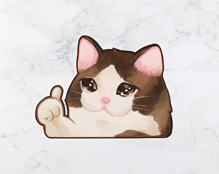 Thumbs Up Sad Cat Meme OK Cat 3" Sticker | Meme Lolcat