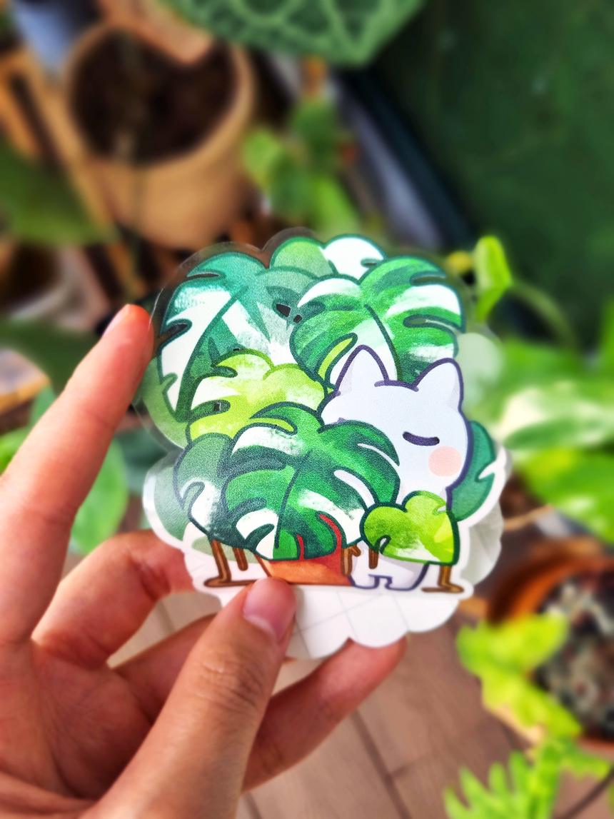 Plant Mama Sticker Pack (4 Pack) Variegated Plants, Monstera, Pink Pri –  Ottos Grotto :: Stickers For Your Stuff